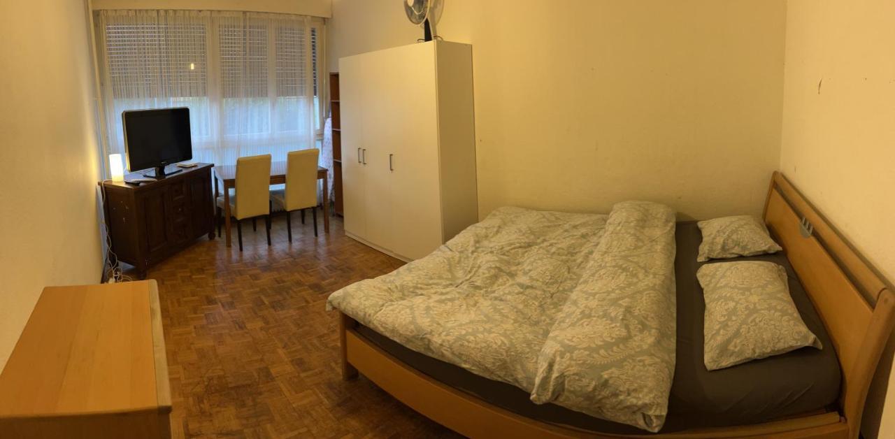 ז'נבה 2 Bedroom Flat Near Nations And In The Center מראה חיצוני תמונה